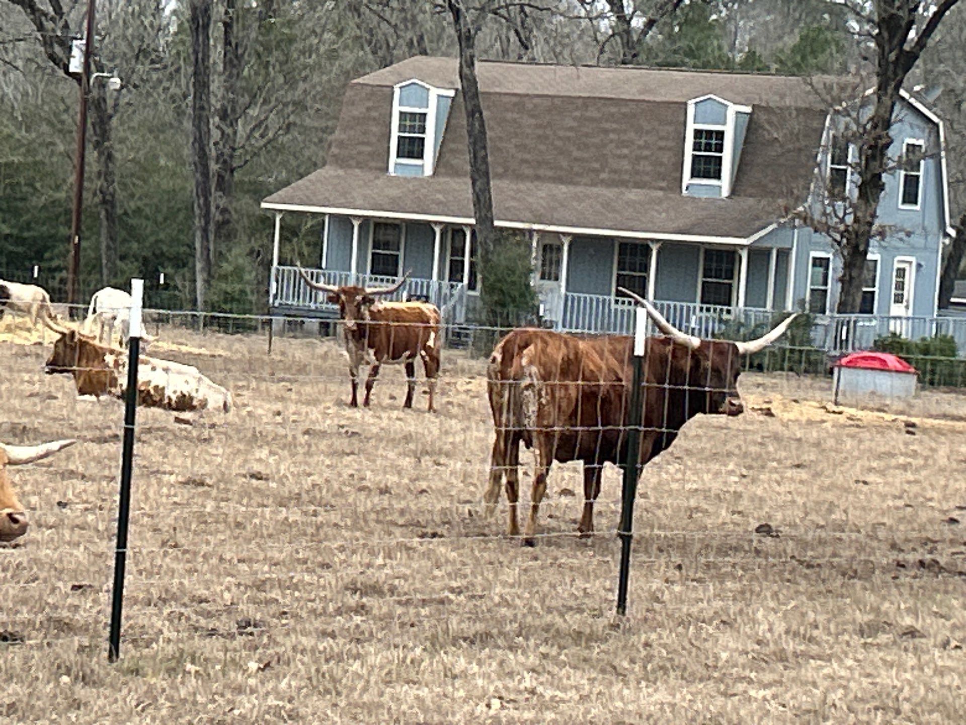 Long Horn Ranch Receives a Mitsubishi Heat Pump Up-Grade in Huntsville, Texas 